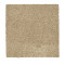 216Hb - Oyster Shell