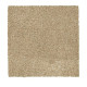 216Hb - Oyster Shell
