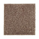 216Hb - Coffee Bean 216Hb - Coffee Bean