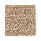 Refined Interest - Dry Goods