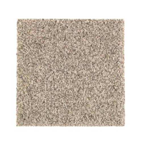 Nature's Elegance - Coastal Beige