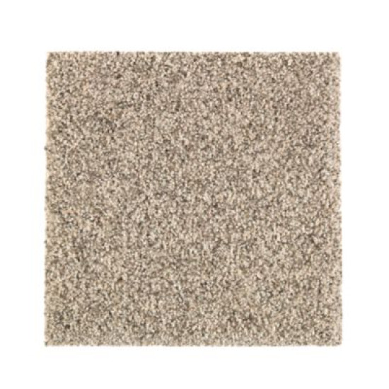 Nature's Elegance - Coastal Beige Nature's Elegance - Coastal Beige