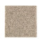 Nature's Elegance - Coastal Beige