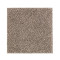 Nature's Elegance - Sandstone