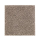 Nature's Elegance - Sandstone Nature's Elegance - Sandstone
