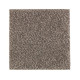 Nature's Elegance - Blacksmith Grey Nature's Elegance - Blacksmith Grey