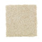 Tonal Chic II - Crumb Cookie