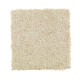 Tonal Chic II - Crumb Cookie Tonal Chic II - Crumb Cookie