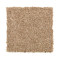 Tonal Chic II - Warm Nutmeg
