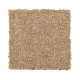 Tonal Chic II - Warm Nutmeg Tonal Chic II - Warm Nutmeg