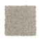 Tonal Chic II - Taupe Illusion