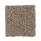 Tonal Chic II - Truffle