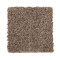 Tonal Chic II - Royal Pecan