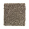 Tonal Chic II - Black Walnut
