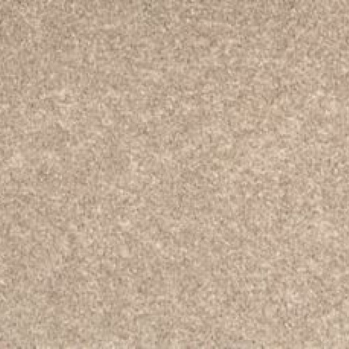 Bold Creation - Catalina Shore