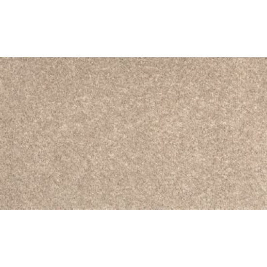 Bold Creation - Catalina Shore Bold Creation - Catalina Shore