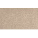 Bold Creation - Catalina Shore Bold Creation - Catalina Shore