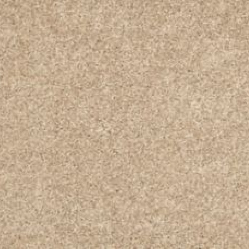 Bold Creation - Hickory Bark