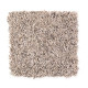 Soft Sensations I - Carriage Wood Soft Sensations I - Carriage Wood