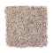 Soft Sensations II - Carriage Wood