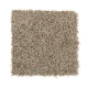 204Hb - Winter Ash (F)