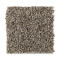 Softly Elegant I - Sand Dollar