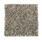 Softly Elegant II - Beige Twill