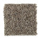 Softly Elegant II - Sand Dollar