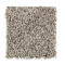 Softly Elegant II - Dark Platinum