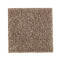 Nature's Luxury I - Mineral Brown