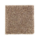 Nature's Luxury II - Woodland Nature's Luxury II - Woodland