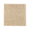 Natural Artistry - Polo Tan