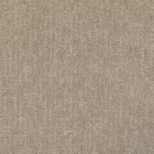 Modern Texture - Frosted Honey