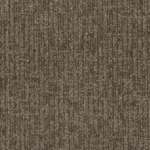 Modern Texture - Sequoia