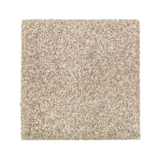 Celestia - Sand Dollar Celestia - Sand Dollar