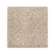 Celestia - Sand Dollar Celestia - Sand Dollar