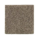 Celestia - Metallics Celestia - Metallics