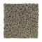 Sp926 - Quiet Beige