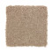 Elegant Appeal I - Dash O'Spice