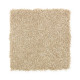 Elegant Appeal III - Corkwood Elegant Appeal III - Corkwood