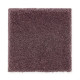 Exquisite Beauty - Vineland Exquisite Beauty - Vineland