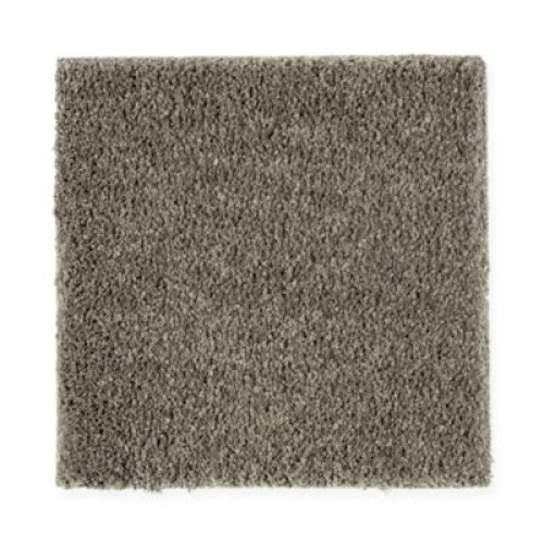 Exquisite Beauty - Buffalo Hide