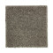 Exquisite Beauty - Buffalo Hide