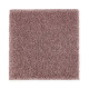 Exquisite Attraction - Irish Rose Exquisite Attraction - Irish Rose