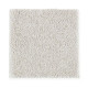 Exquisite Attraction - Tower Tan Exquisite Attraction - Tower Tan