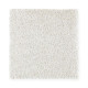 Exquisite Attraction - Alpaca Exquisite Attraction - Alpaca
