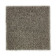 Exquisite Attraction - Buffalo Hide Exquisite Attraction - Buffalo Hide