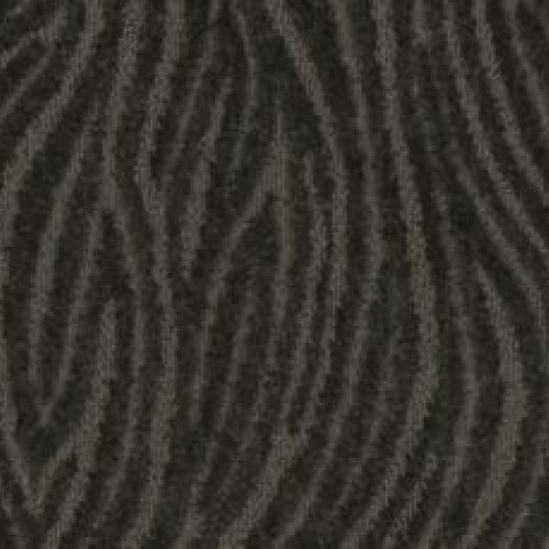 Distinct Flair - Charcoal