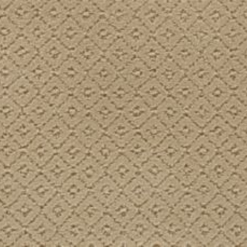 Remarkable Elegance - Earthen