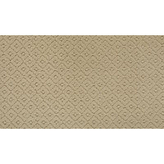 Remarkable Elegance - Gypsy Moth Remarkable Elegance - Gypsy Moth